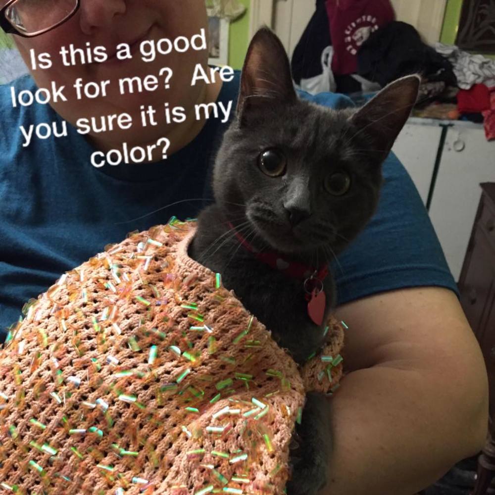 Meet your Posher, Nicole